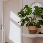 Fireplace Escape Appartement