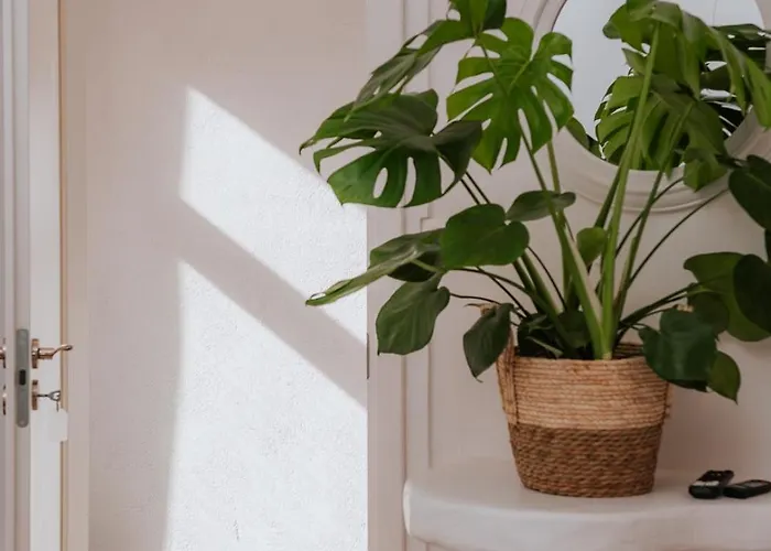 Fireplace Escape Appartamento